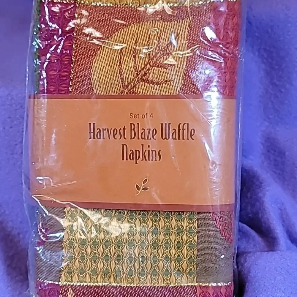 0719. NWTs ~ Harvest Blaze Waffle Napkins (4) & Placemats (4)~ Beautiful 💛